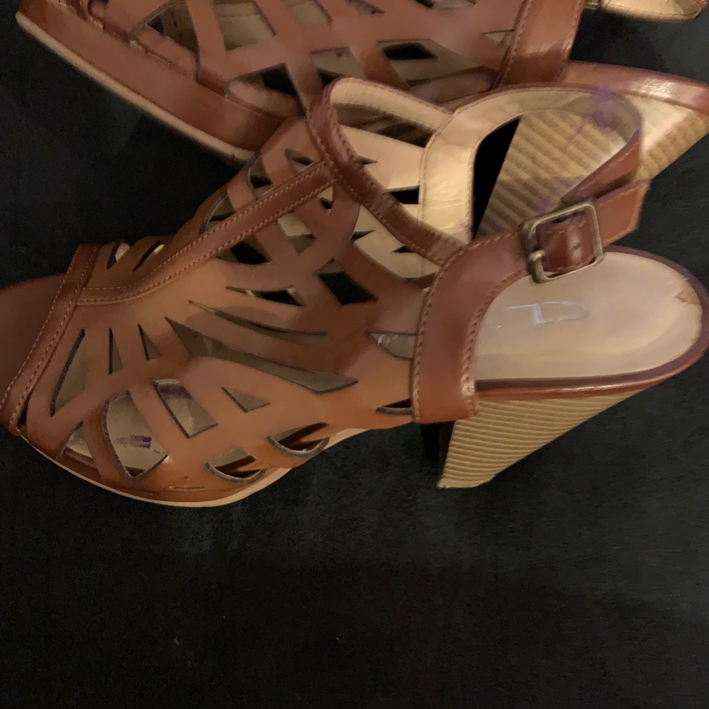 Brown and tan adverse heel.